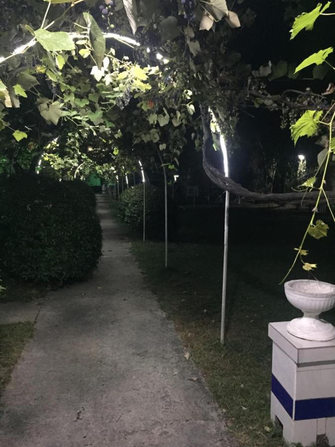 Baza Otdyha Miya Ξενοδοχείο Gudauta Εξωτερικό φωτογραφία